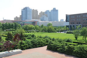 �㽭��ý�WԺ�A���Ӱ�WԺӰҕ����շ�����I��������