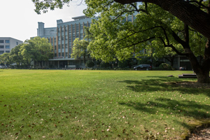 ������ͨ��W늚⹤�̌WԺ���I�˲����BӋ����������