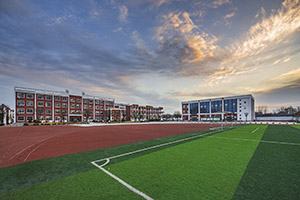 ʯ���f�I���g�WԺ2025����������