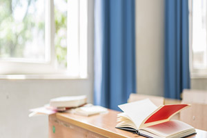 �ӱ�܉���\ݔ�I(y��)���g(sh��)�WԺ2025����к���