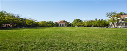 ���Z���ƌWУ�֔������� �����Z���I�Č��ƌWУ