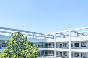 �V���F�����ƌWУ������������Щ�ԃr�ȸߵĴ�W