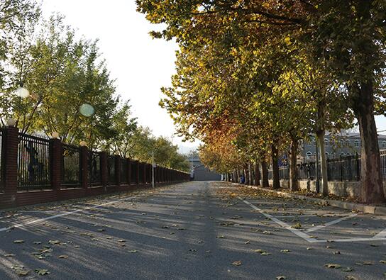 領科教育北京校區