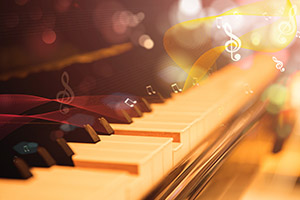 ���A���е�����W(xu��)У����(l��)��(gu��)�H����