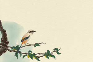 ��MAB�x���Ă��WУ��?