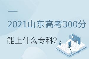 2021山東高考300分能上什么專科?
