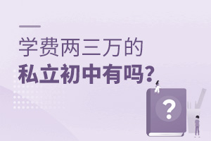 學費兩三萬的私立初中有嗎?