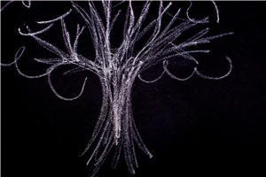 ������MBA�Ă��WУ��?