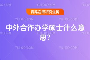 2025年中外合作辦學碩士什么意思?