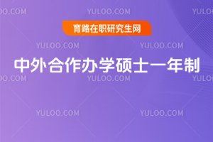 2025年中外合作辦學碩士一年制