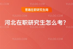 �ӱ����о�����ô����