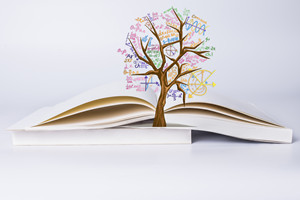 ����ЩԺУ����������k�W�Tʿ��������?