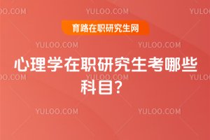 2025������W���о�������Щ��Ŀ��