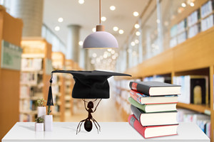 2025����������k�W�Tʿ����ԺУ����Щ?