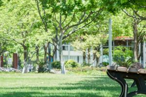 2022���Ŀƾ͘I(y��)ǰ���õČ��I(y��)����Щ��