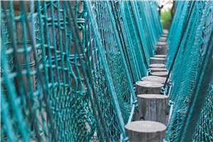 2025�����p�C���о���ԺУ����Щ?(���l��������)