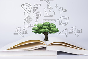 ����������W��̫���WУ���H��