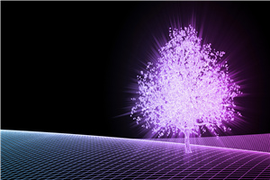 2025��������k�W�Tʿ����Щ�����WУ?