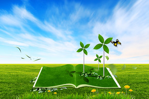 �����p�C���о����Ă�ԺУ�ÿ�?