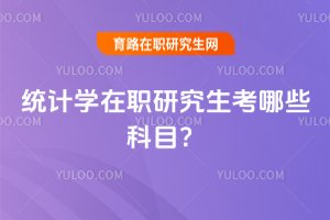 統(tǒng)計(jì)學(xué)在職研究生考哪些科目?