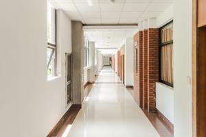 2025年河南200分能上的專科學(xué)校有哪些?