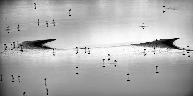 北服國際藝術高中純藝專業