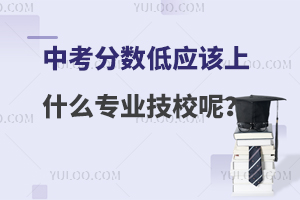 �п��֔��͑�ԓ��ʲô���I��У�أ�