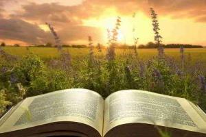 河北益田翰德學校小升初學費標準一覽！附初中部介紹