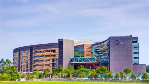 新加坡環印國際學校