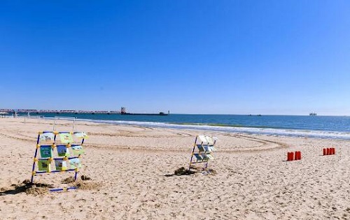 清華志清中學國際部藝術節