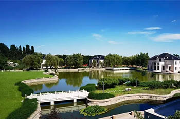 �����|���t�WУ