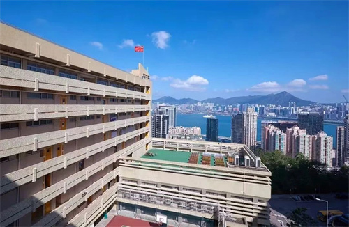 青苗DSE項目專家顧問