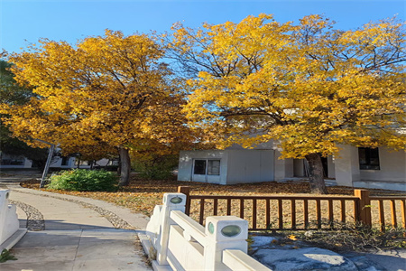 �����|���t�W(xu��)У