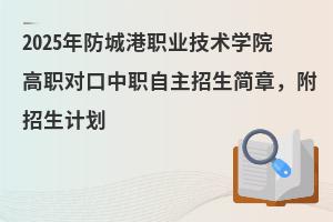 2025����Ǹ��I���g�WԺ�������������������£�������Ӌ��