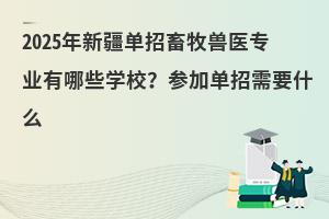 2025���½����������F�t���I����Щ�WУ�����ӆ�����Ҫʲô