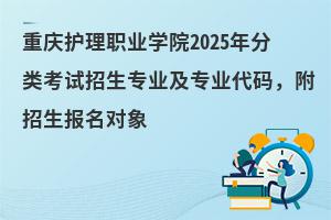 �ؑc�o���I�WԺ2025����ԇ�������I�����I���a����������������