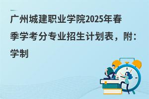 �V�ݳǽ��I�WԺ2025�괺���W���֌��I����Ӌ�����������W��