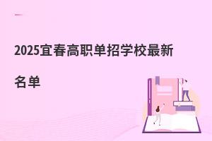 2025�˴������ЌWУ��������