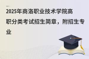 2025�������I���g�WԺ�����ԇ�������£����������I