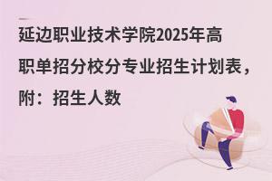 ��߅�I���g�WԺ2025������з�У�֌��I����Ӌ���������������˔�