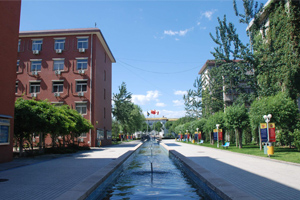 �����мӌWУ|ͨ���A�ʌWУ��������