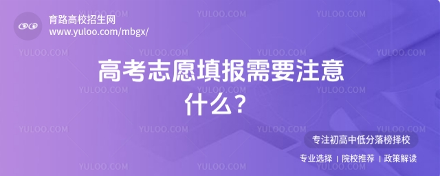 2025高考志愿填報需要注意什么?一文了解