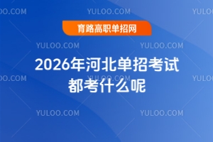 2026年河北單招考試都考什么呢?