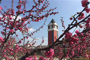 ��(��i)��