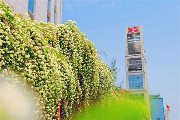 成都石室天府中學國際部招生簡章