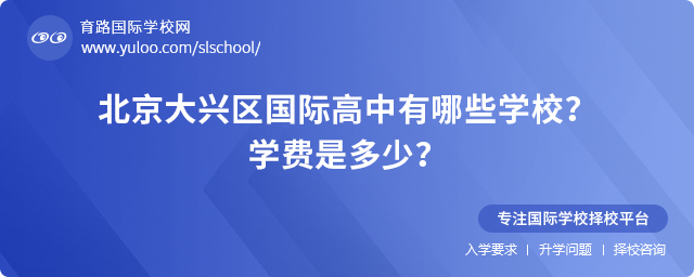 2025年北京大興區國際高中有哪些學校