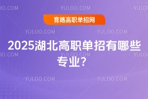 2025��������������Щ���I��