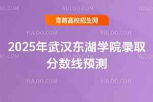2025年武漢東湖學院錄取分數線預測