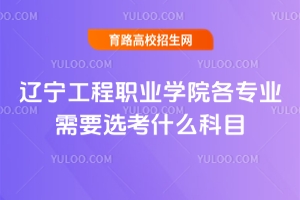 �|�������I�WԺ�����I��Ҫ�x��ʲô��Ŀ�������I���M�˜�