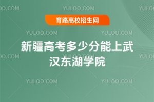 2025年新疆高考多少分能上武漢東湖學院？近三年分數線及位次分析
